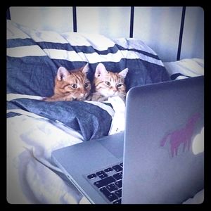 Meet your Posher, Jen